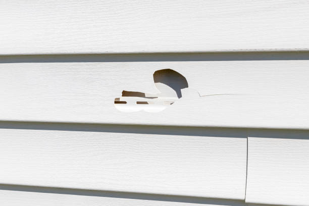 Best Siding Repair  in Rollingwood, CA